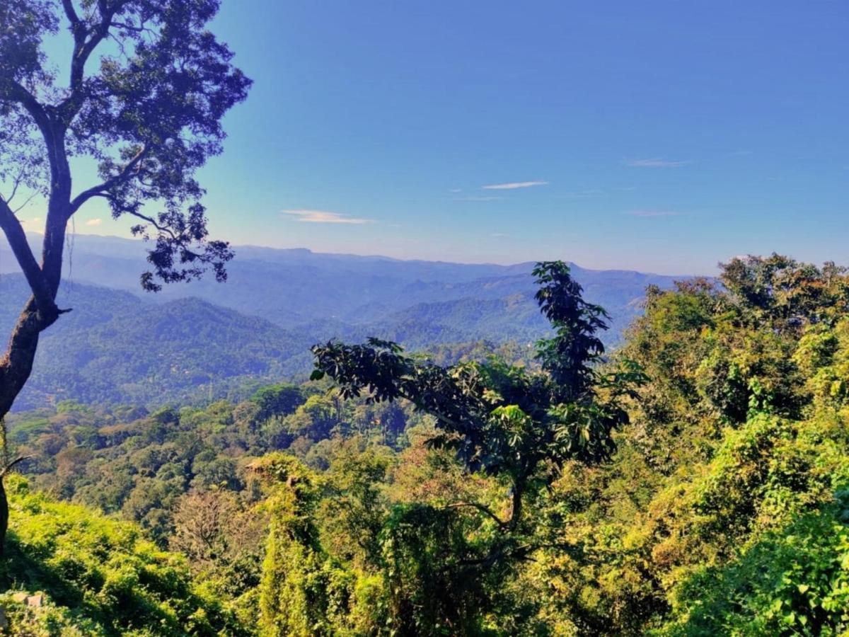 Wild Mist Homestay Munnar Exterior photo
